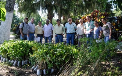 Gobierno Municipal Promueve  Reforestación en el Municipio
