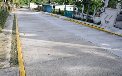 Raúl Ruiz Entrega Pavimentación en Los Pinos