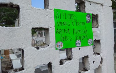 Buscan prevenir proliferación de mosquitos en Cementerios