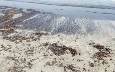 Playas de Tuxpan contaminadas por Chapopote