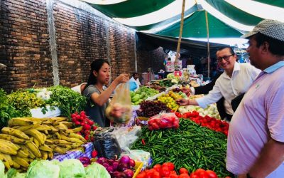 Tanguistas tendrán que pagar lo justo: Citlali Medellín