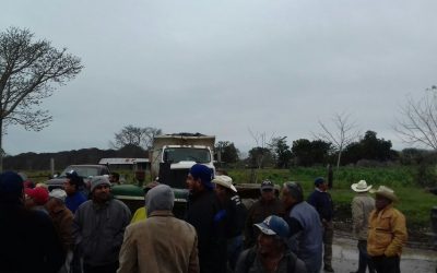 SE MANIFIESTAN EN FRIJOLILLO