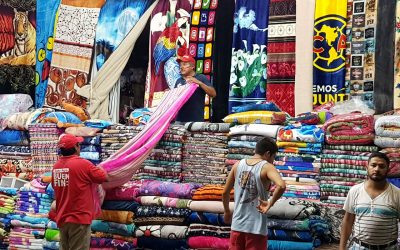 FRENTE FRÍO 24 CAUSA PÉRDIDAS EN AUTO-HOTELES