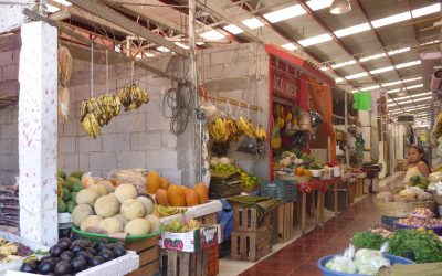 Domo del Mercado Héroes del 47 requiere de mantenimiento