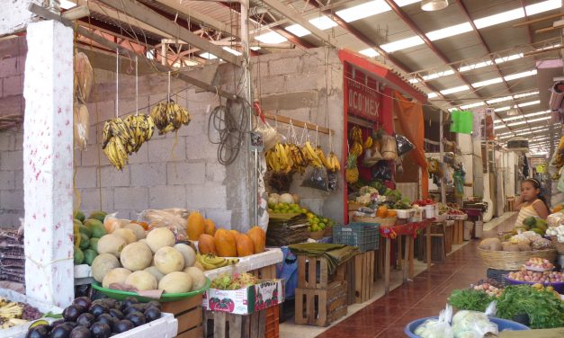 Domo del Mercado Héroes del 47  requiere  de mantenimiento