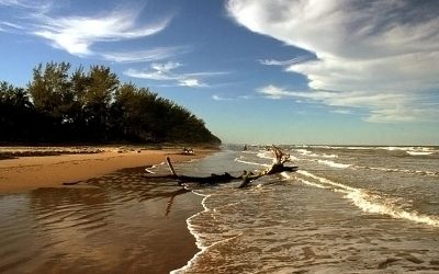Banderazo a limpieza de playas