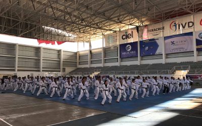 PROFESORES DE KOGURYO TAEKWONDO SE CERTIFICAN EN EL COCET 2018