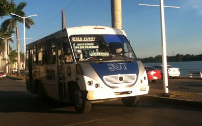 Transporte Urbano incrementará sus tarifas