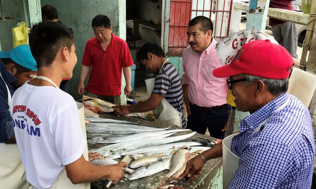 Llegó la hora de legislar por más recursos para el sector pesquero: Pepe Arenas