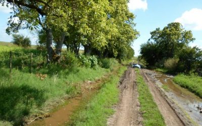 Caminos en mal estado afectan desarrollo de comunidades en Tuxpan