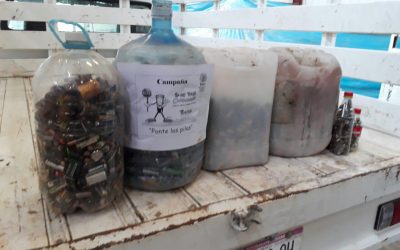 Protegen Medio Ambiente con programa de recolección de pilas