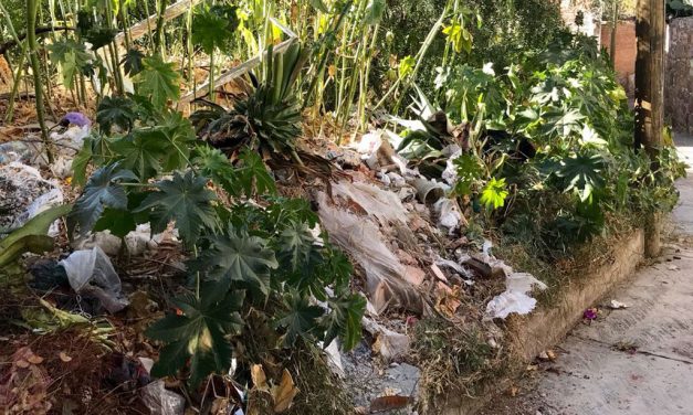 Limpiarán lotes baldíos