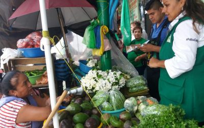 Gestionare recursos para hacer crecer el sector comercio: Maryanela Monroy