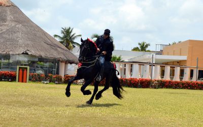 La mejor Expo Tuxpan de la historia