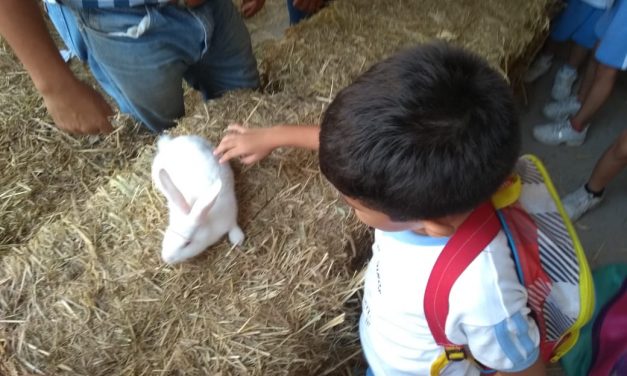 Día Mundial del Medio Ambiente