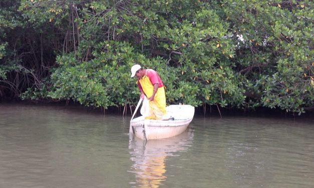 Todo listo para la fiesta patronal