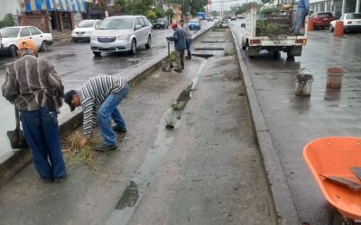 En marcha proyecto de embellecimiento