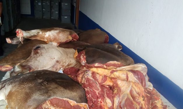 Detienen a presuntos Abigeos