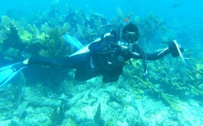 PRIMER FORO DE BUCEO Y CONSERVACIÓN DE ARRECIFES CORALINOS