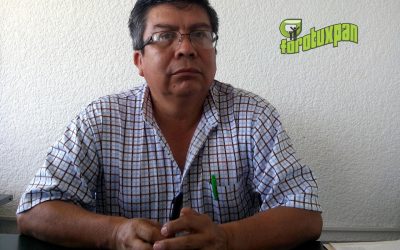 Plagas de cítricos pueden afectar a Abejas