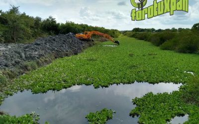Desazolvan zanja para reducir riesgo de inundación