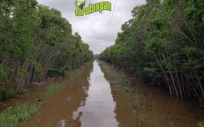 Declara la Secretaría de Gobernación Emergencia para el Municipio de Tuxpan
