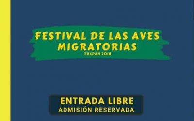 Próximamente Festival de las Aves Migratorias en Tuxpan