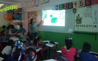 Continúa el Programa Permanente de Educación Ambiental