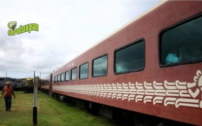 El proyecto del Tren Maya no se llevará a consulta ciudadana