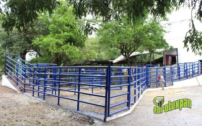 Más de 90 por ciento en la remodelación del corral en el Rastro Municipal
