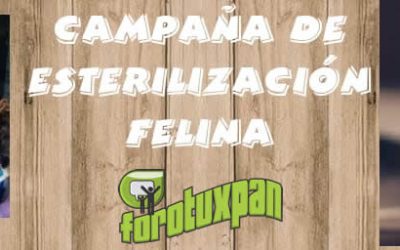 Esterilización de Felinos del 7 al 14 de Noviembre en Tuxpan