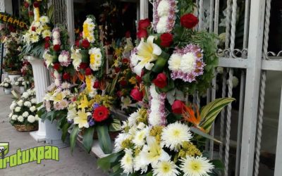 La economía en Tuxpan y el País en Crisis: Comerciantes