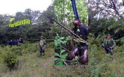 Encuentran a ahorcado gracias a Denuncia Anónima