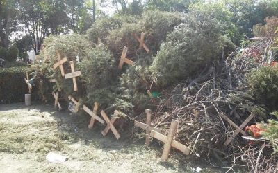 Comienza campaña “Recicla tu navidad”