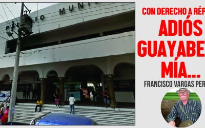 Adiós Guayabera Mía…