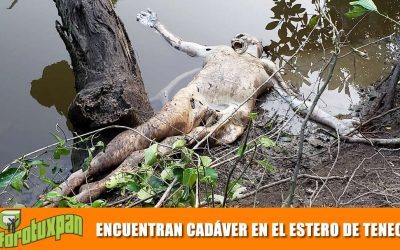 Aparece cadáver en el Estero de Tenechaco