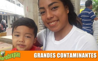 TOALLAS SANITARIAS Y PAÑALES SON GRANDES CONTAMINANTES