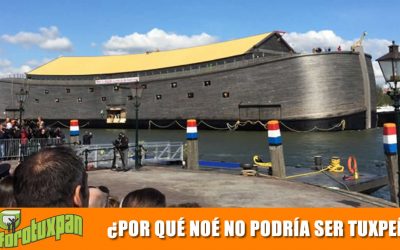 ¿Por qué NOÉ no podría ser Tuxpeño?