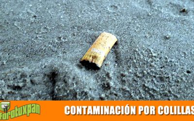 Contaminación por Colillas de Cigarro