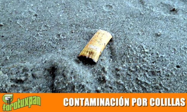 Contaminación por Colillas de Cigarro