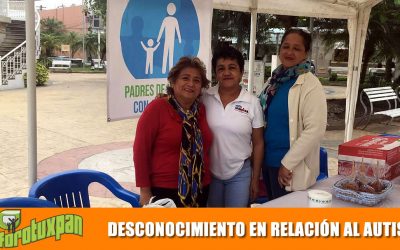 Desconocimiento en relación al Autismo