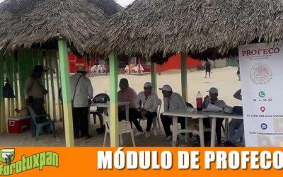 PROFECO Tiene Módulo en la Playa