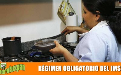 Régimen Obligatorio del IMSS
