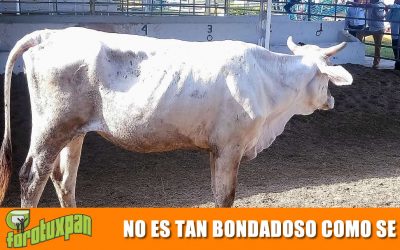 NO ES TAN BONDADOSO COMO SE DIJO