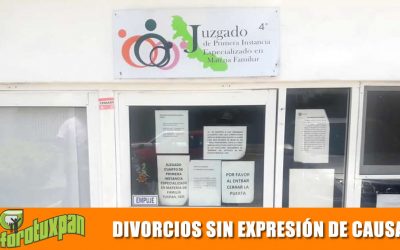 DIVORCIOS SIN EXPRESIÓN DE CAUSALES