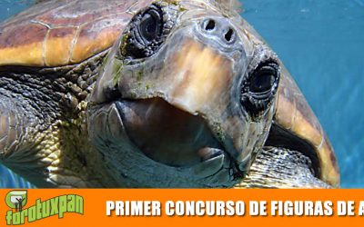 PRIMER CONCURSO DE FIGURAS DE ARENA