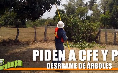 PIDEN A CFE Y A PC INICIEN DESRRAME DE ÁRBOLES
