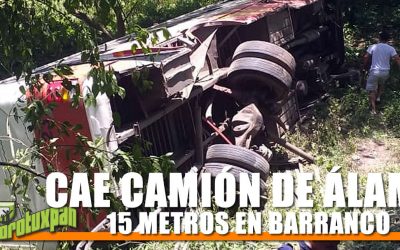 CAE CAMIÓN DE ÁLAMO 15 METROS EN BARRANCO