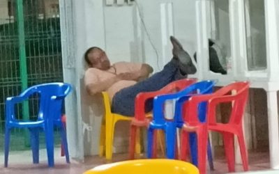¡Déjame Dormir Mamá!