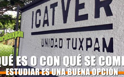 ICATVER, ¿Qué es o con qué se come?